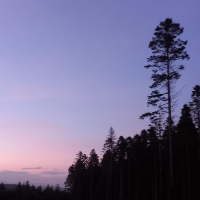 10 Minute Mindfulness