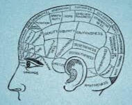 Personality Exercise